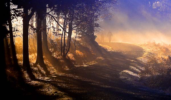 MISTY MORNING WALK